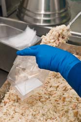 hand packing fresh Cornish crab