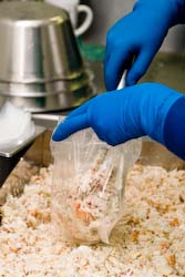 packing fresh crab