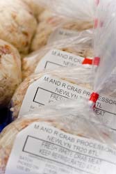 packed fresh Cornish crab
